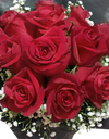 Eternal Love I Red Rose
