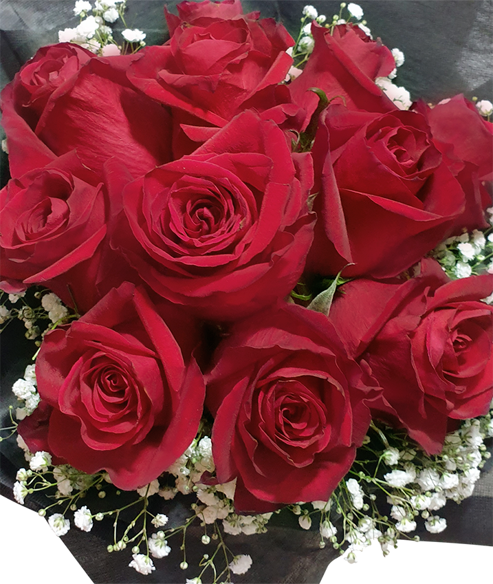Eternal Love I Red Rose Bouquet in Black Wrapper