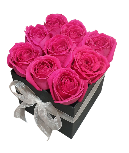 Bloom Box w Fresh Fuchsia Pink Roses I Square