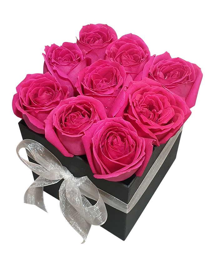 Bloom Box w Fresh Fuchsia Pink Roses I Square
