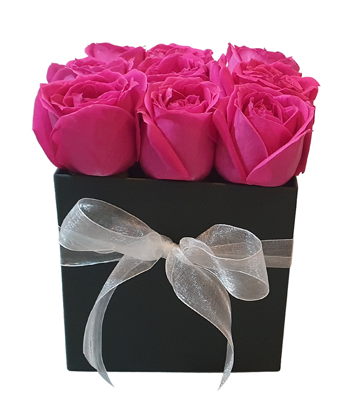 Bloom Box w Fresh Fuchsia Pink Roses I Square