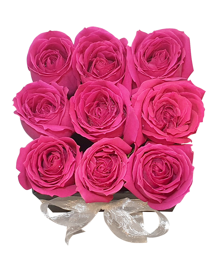 Bloom Box w Fresh Fuchsia Pink Roses I Square