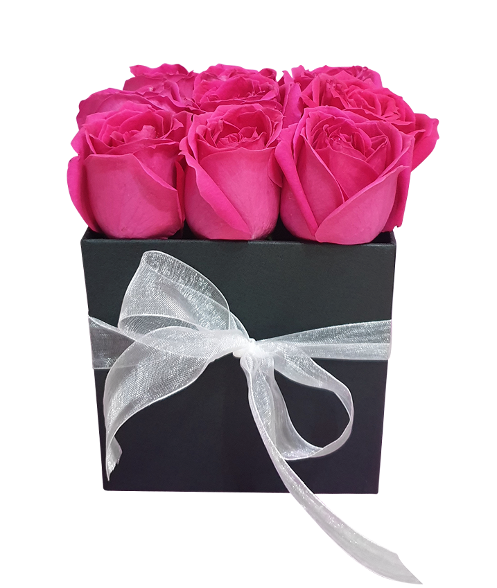 Bloom Box w Fresh Fuchsia Pink Roses I Square
