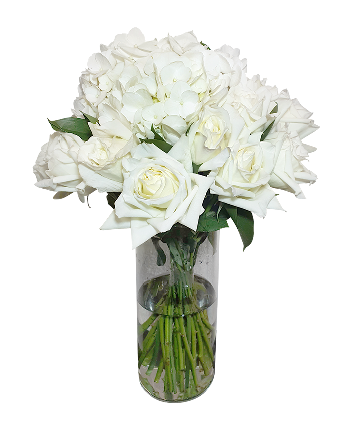 Pure Elegance Rose in Tall Vase