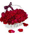 White Basket Red Roses