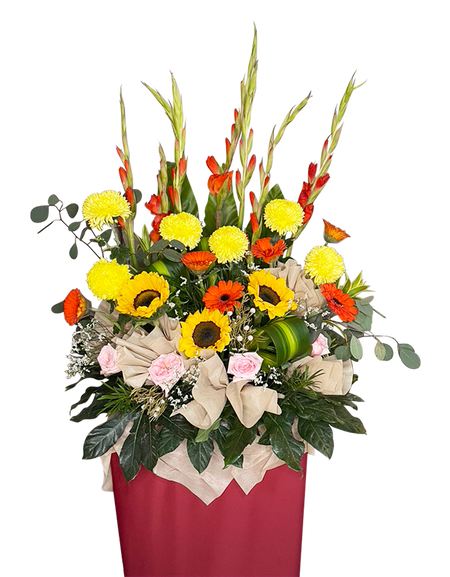 Splendid  Congratulatory Stand