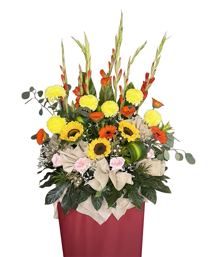 Splendid  Congratulatory Stand
