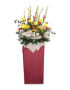 Splendid I Congratulatory Stand