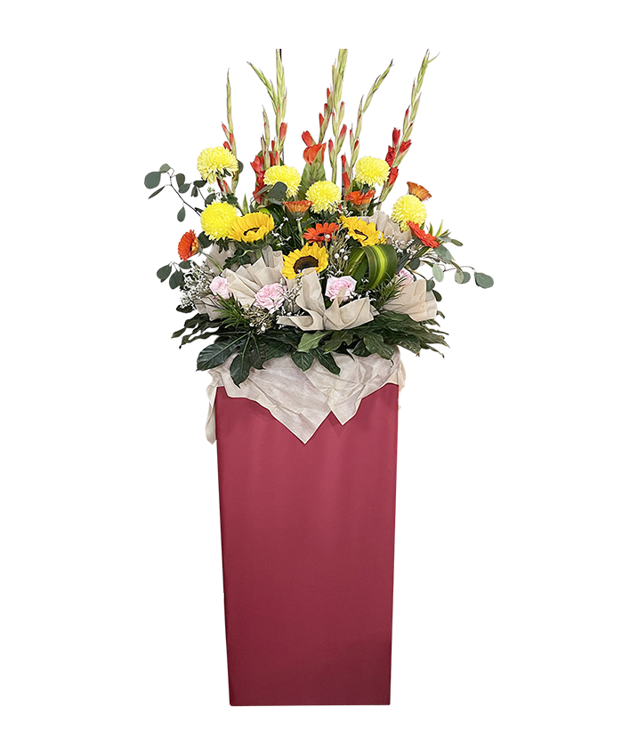 Splendid  Congratulatory Stand