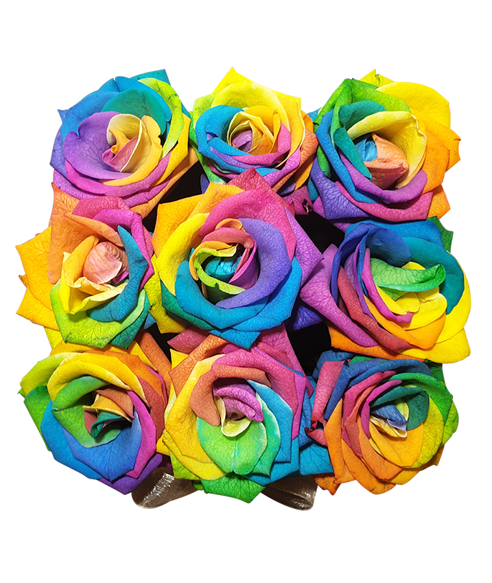 Rainbow Rose in Bloom Box