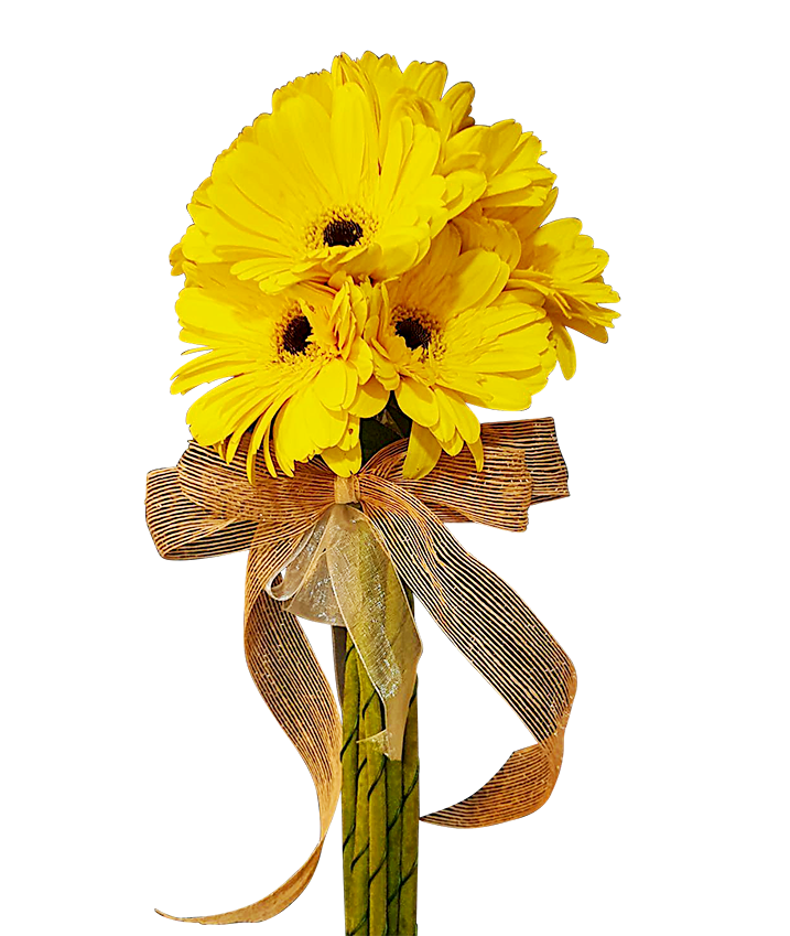 Stylised Yellow Mini Bouquet Gerbera