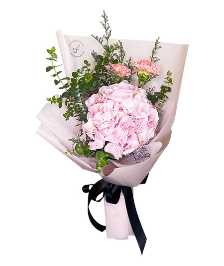 Hydrangea Grace