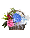 Joyful Blessings Baby’s Floral Basket & Hapers