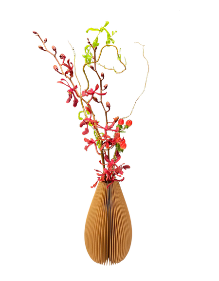 Mokara Hypericum Duo in Unique vase