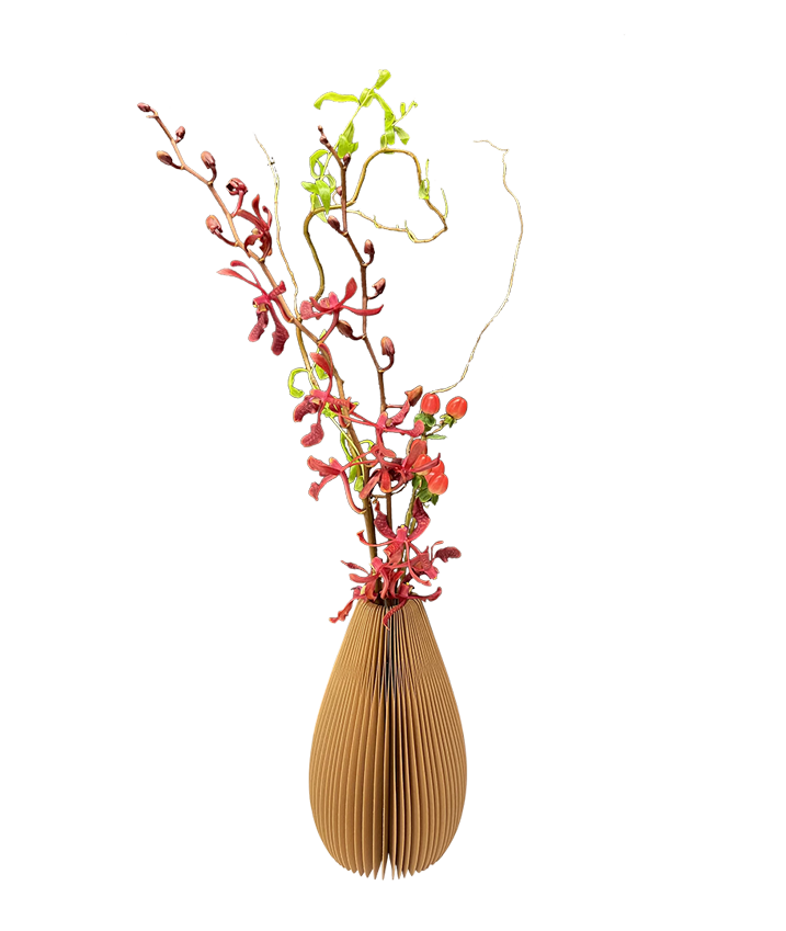 Mokara Hypericum Duo in Unique vase