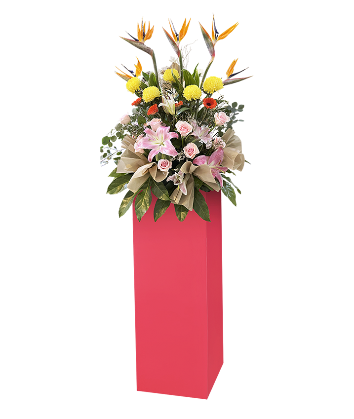 Resplendent I  Congratulatory Stand