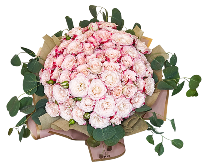 99 Miniature Roses I Sweet Love Contemporary Style