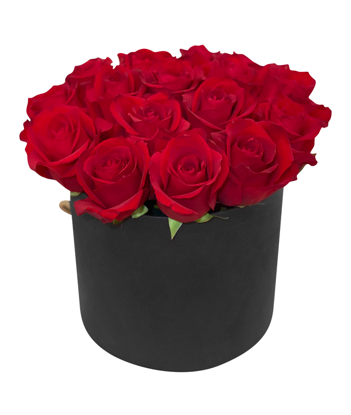Red Rose in Tall Circular Bloom Box