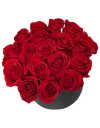 Red Rose in Tall Circular Bloom Box