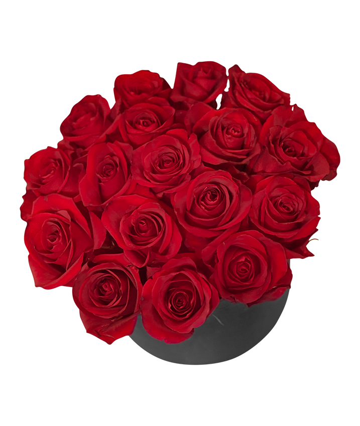 Red Rose in Tall Circular Bloom Box