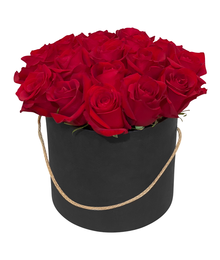 Red Rose in Tall Circular Bloom Box