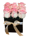 2Tone Pink Rose in Square Bloom Box