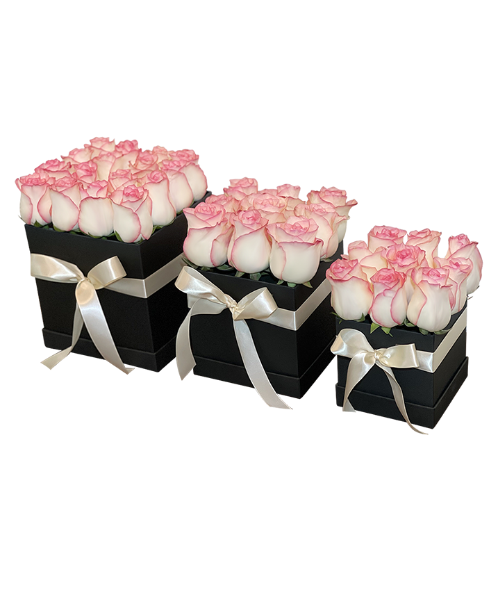 2Tone Pink Rose in Square Bloom Box