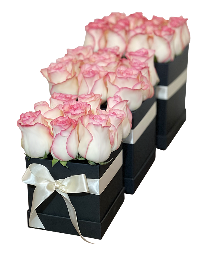 2Tone Pink Rose in Square Bloom Box