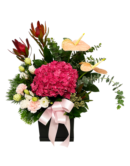 Unconditional Love Bloom