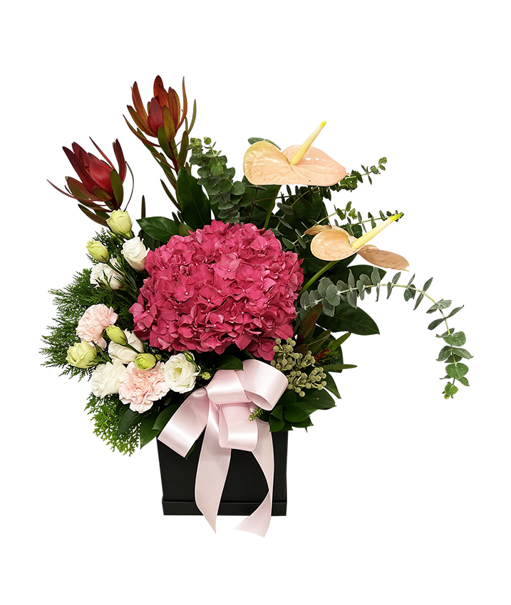 Unconditional Love Bloom