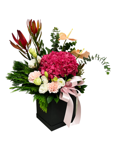 Unconditional Love Bloom