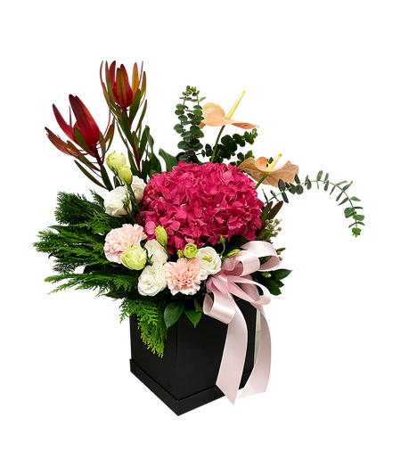 Unconditional Love Bloom