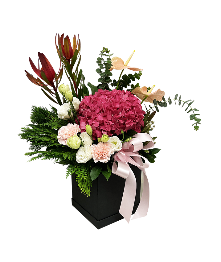 Unconditional Love Bloom