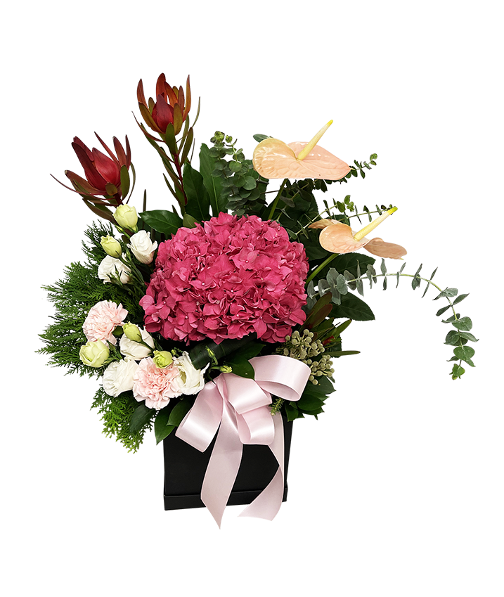 Unconditional Love Bloom