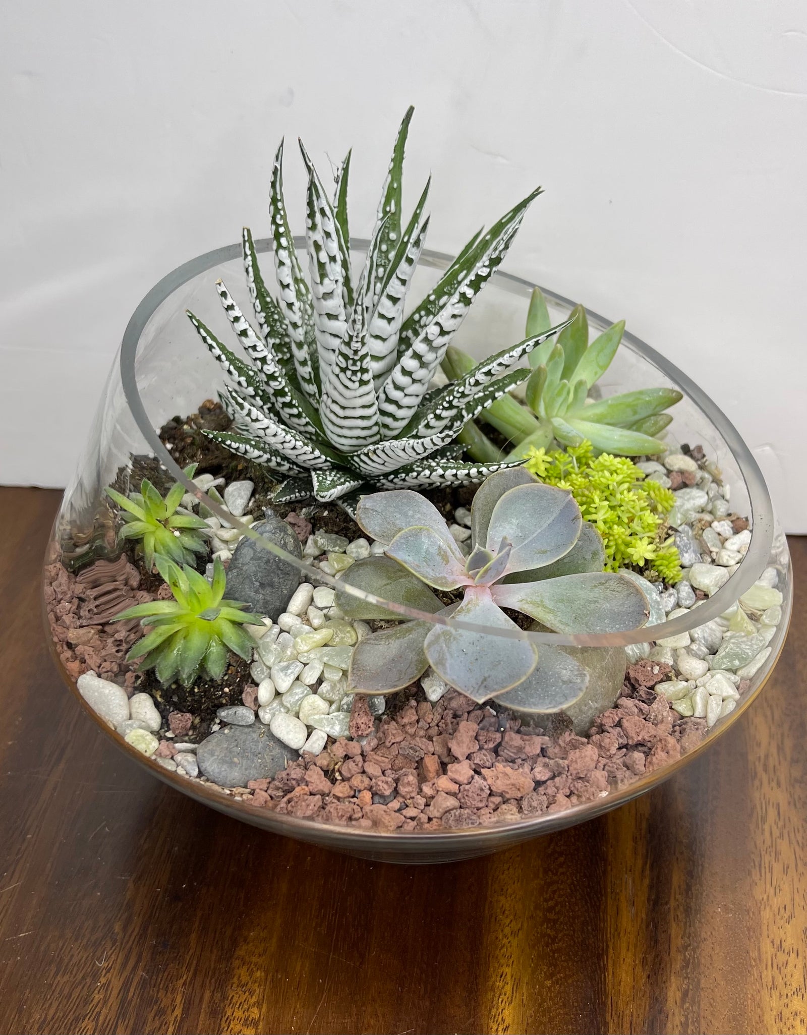 Modern Terrarium 01