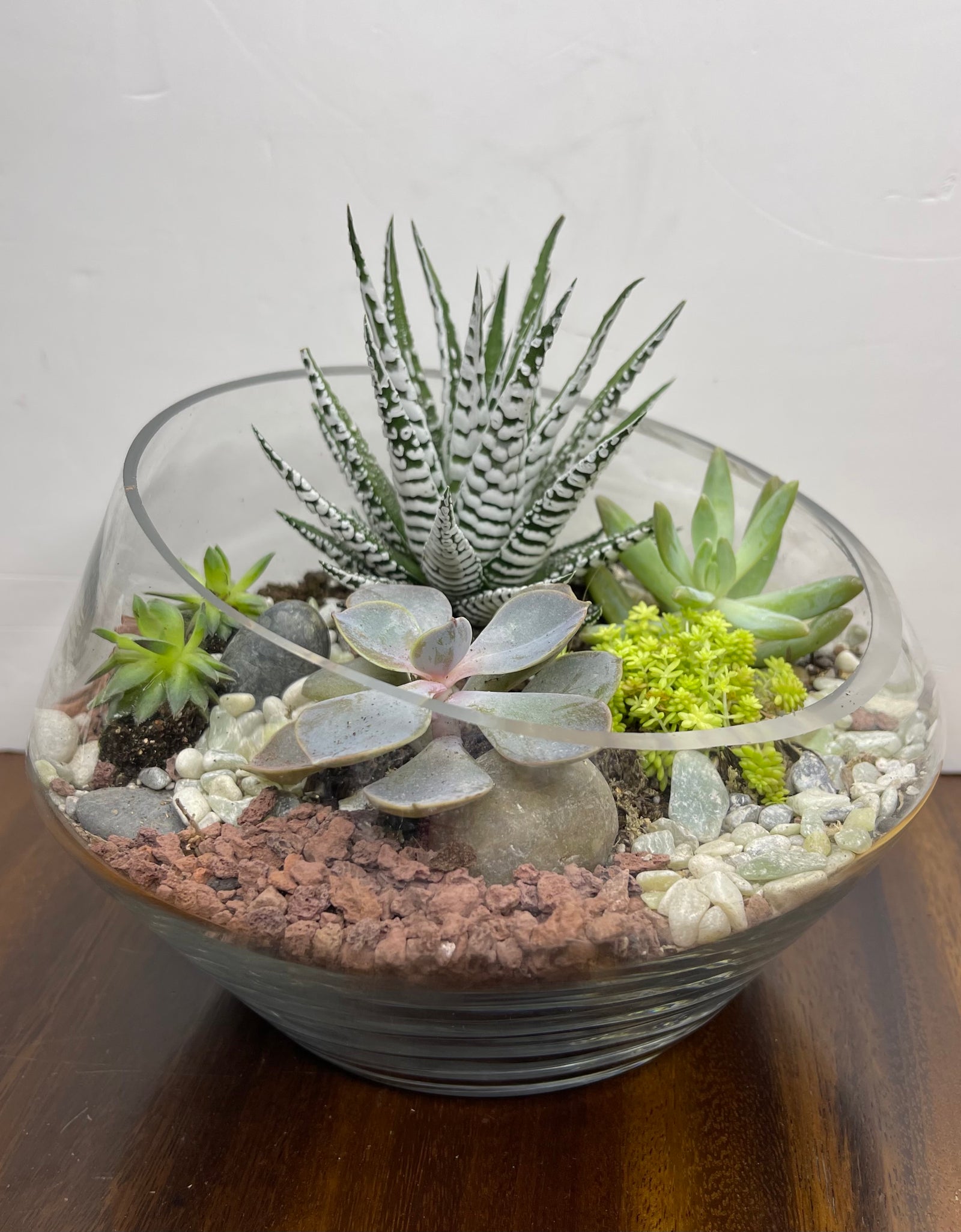 Modern Terrarium 01