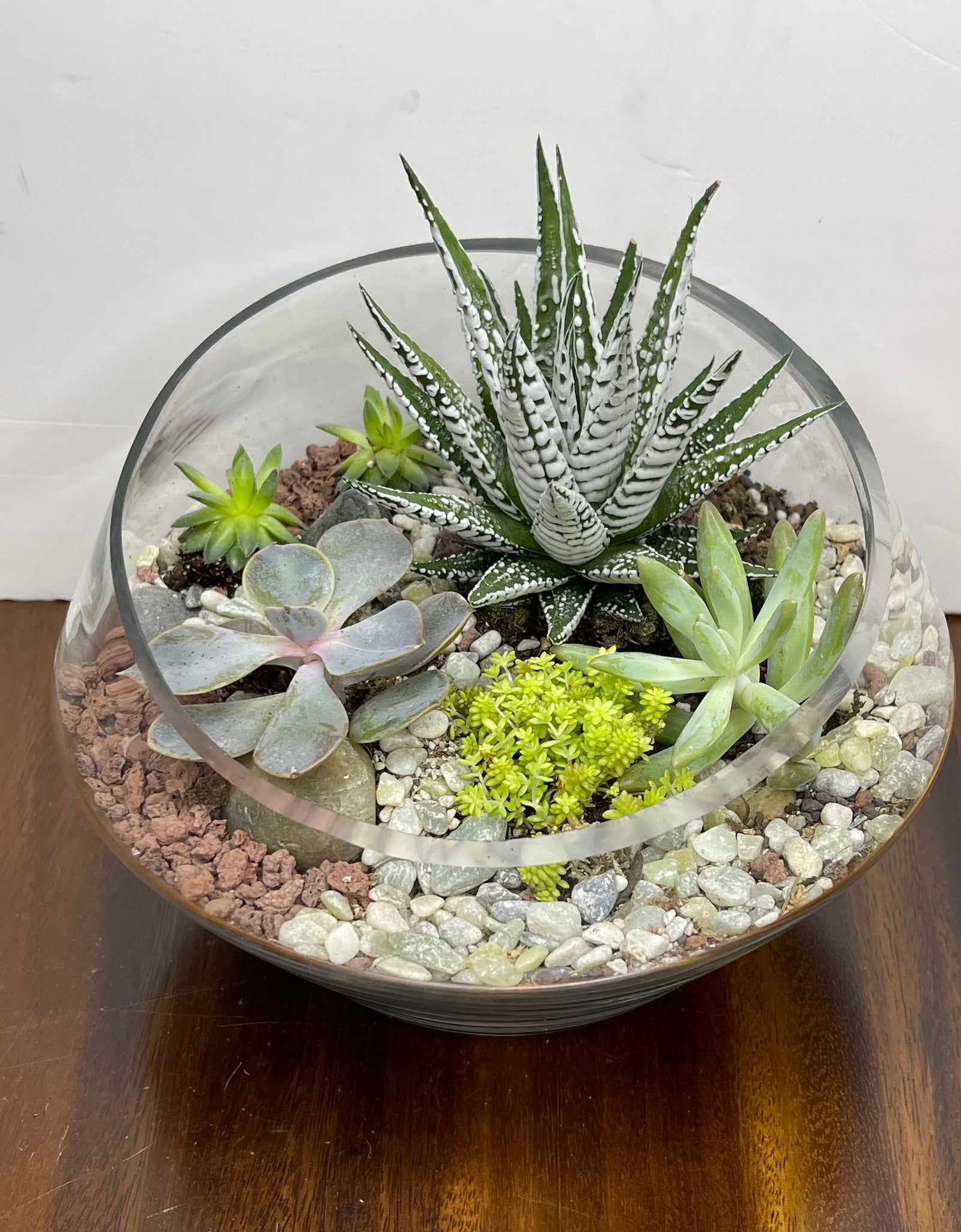 Modern Terrarium 01