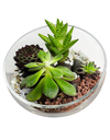 DIY Workshop I Mini Exotic Terrarium Garden