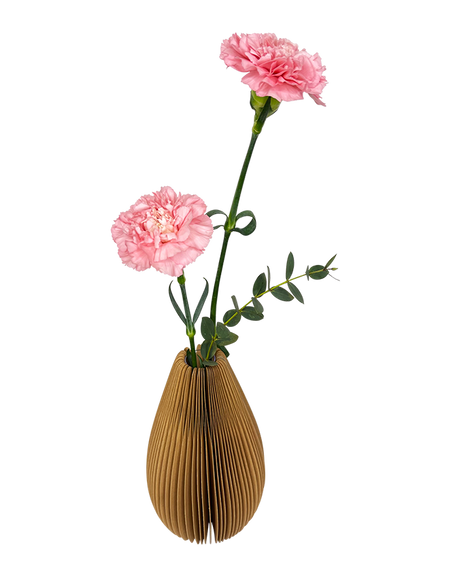 Carnations in Unique Foldable Vase