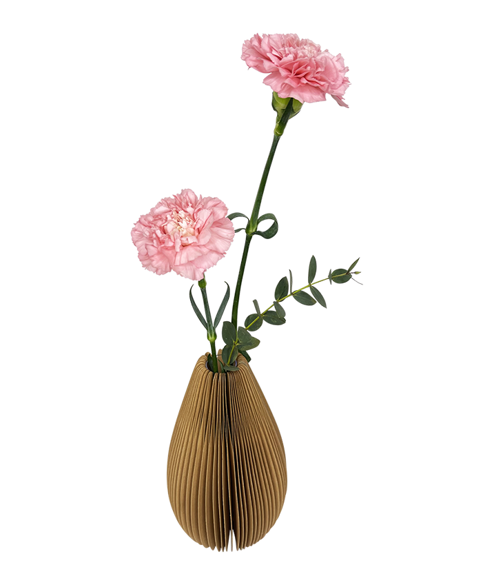 Carnations in Unique Foldable Vase
