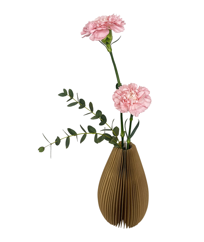 Carnations in Unique Foldable Vase