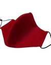 Deep Wine 3D Mask Set with PM 2.5 carbon filter