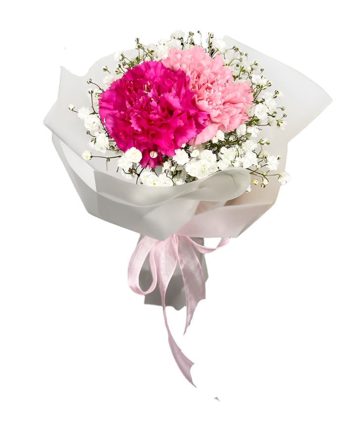 Fuschia and Light Pink Carnations Bouquet