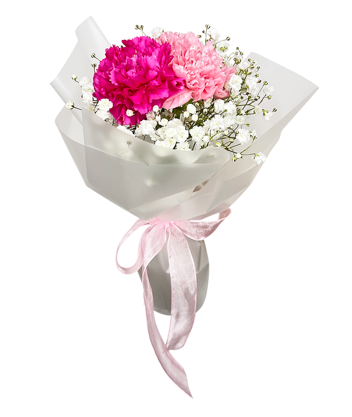 Fuschia and Light Pink Carnations Bouquet