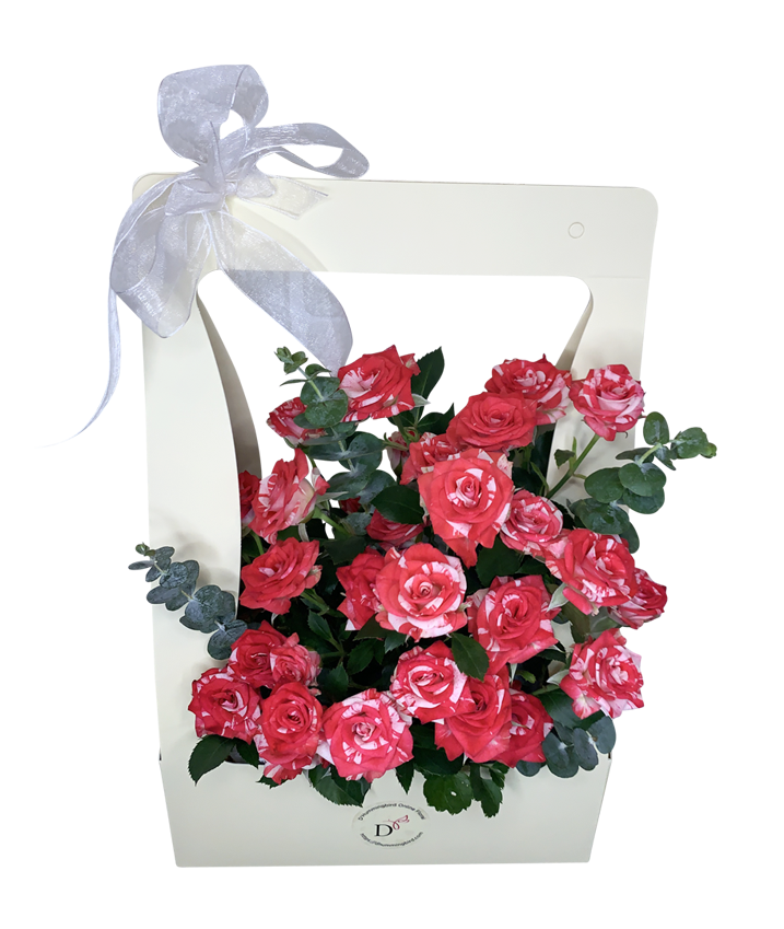 2Tone Watercolour Red/White Spray Rose