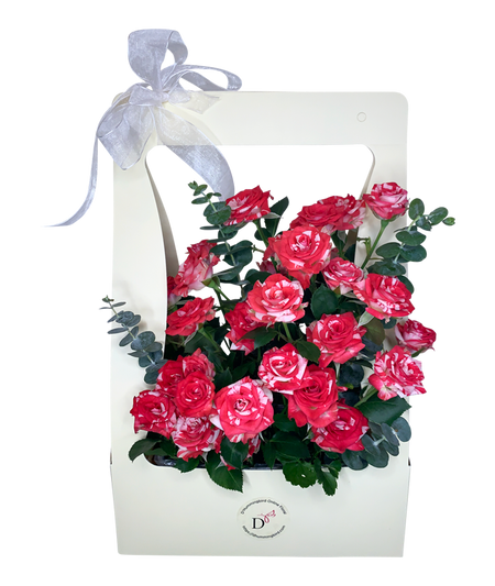 2Tone Watercolour Red/White Spray Rose