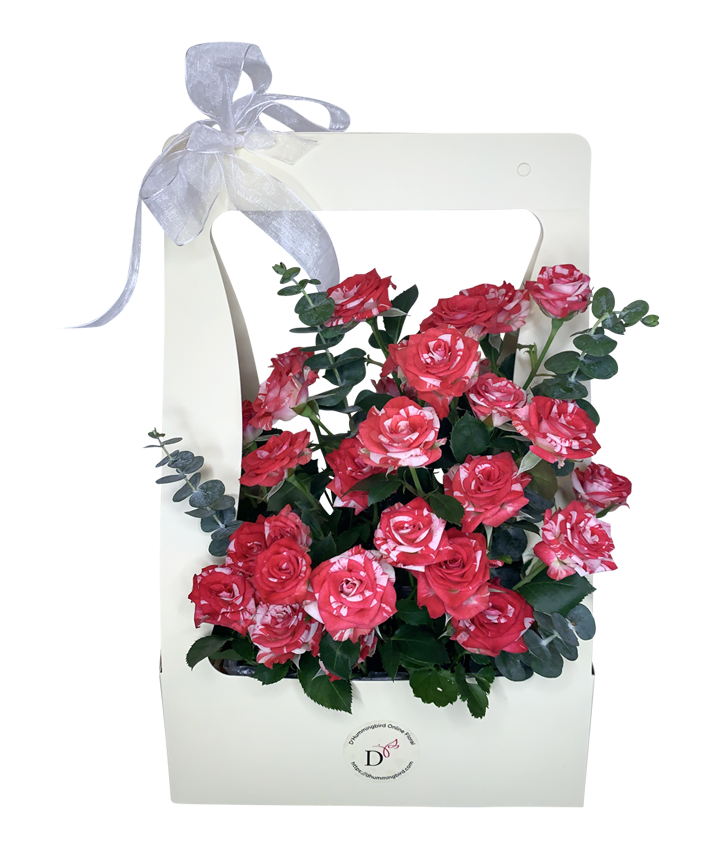 2Tone Watercolour Red/White Spray Rose