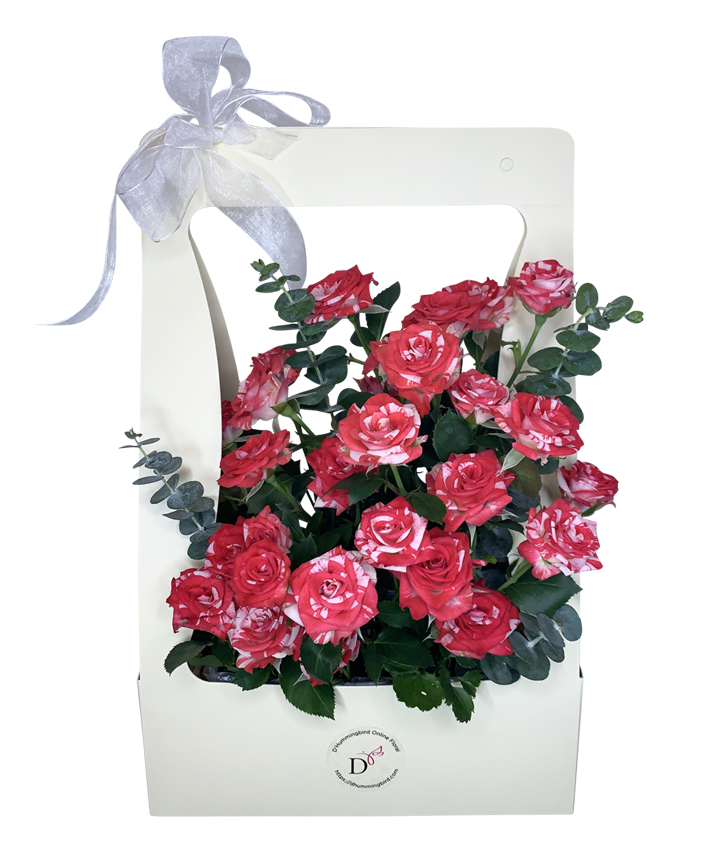 2Tone Watercolour Red/White Spray Rose