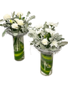 Twin Silver Garden