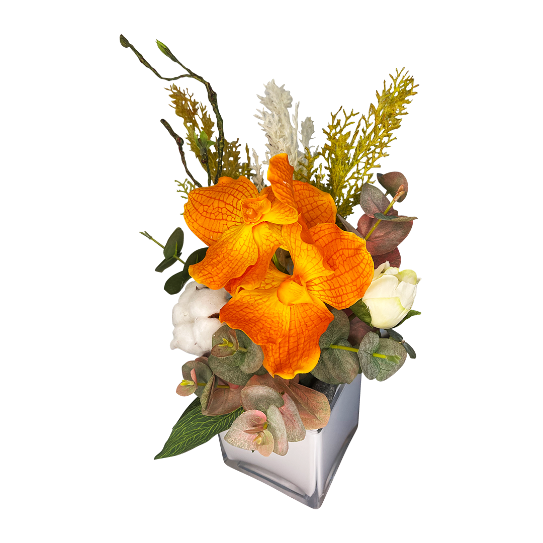 Mini Orange Vanda Botanica